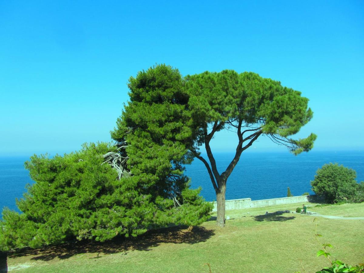 Beba * Rovinj